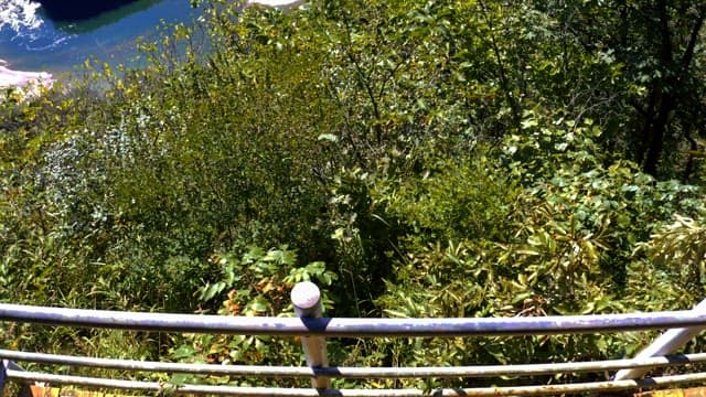 Countryside river bend with lush greenery