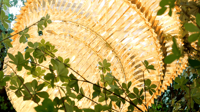 Leaves and a glowing chandelier