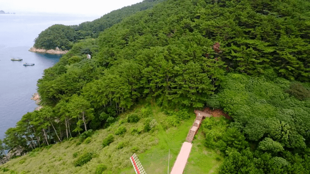 Scenic forest path with a windmill