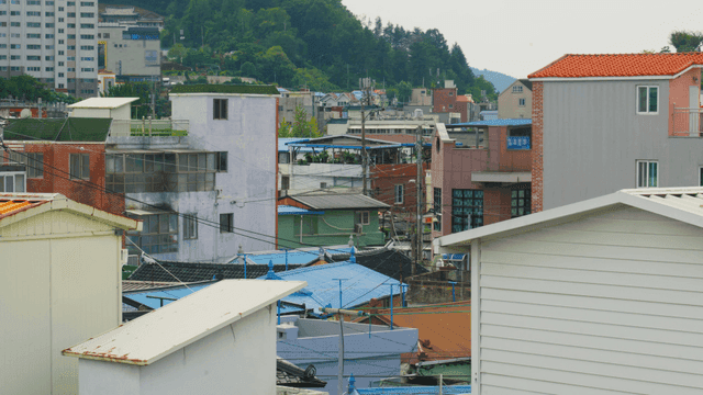 밀집된 주거지 마을의 다채로운 지붕들