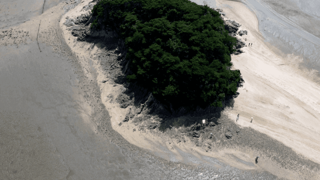 Aerial view of a lush island and sandy beach
