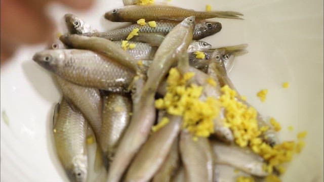 신선한 생선 요리 준비