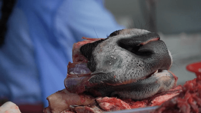 정육점에서 고기를 준비하는 모습