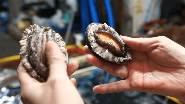 손에 들린 신선한 전복