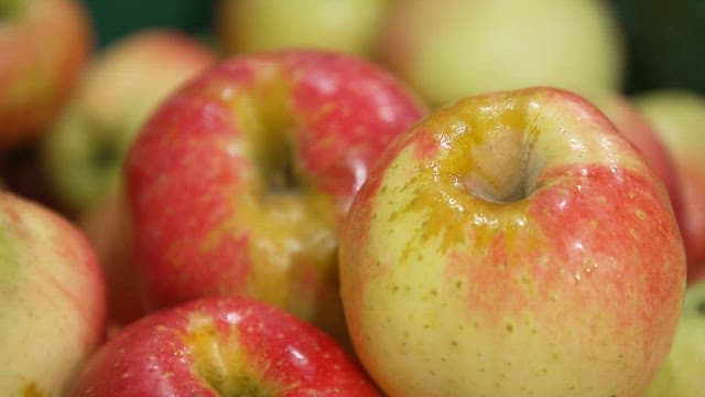 Fresh apples glistening in the light