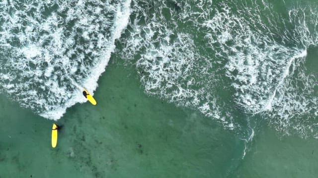 Surfers riding waves in the ocean