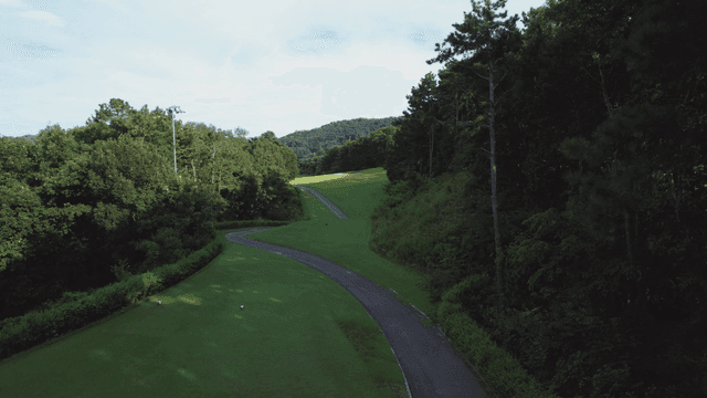 나무로 둘러싸인 고요한 골프장