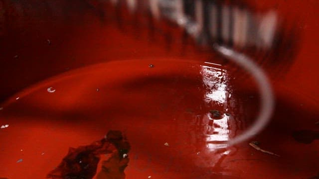 그물에서 빨간 대야 옮겨지는 낙지