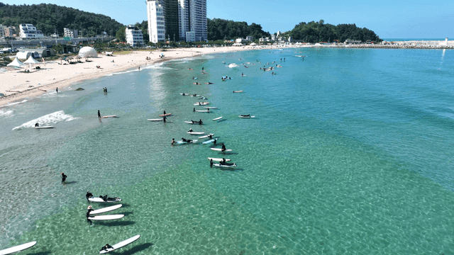 People surfing on a sunny beach