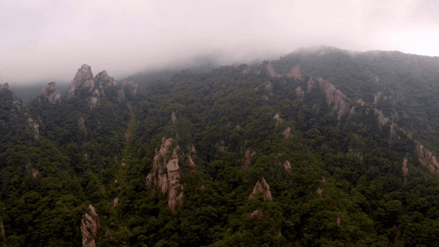 안개가 자욱한 산 풍경