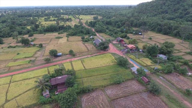 Rural village surrounded by fields