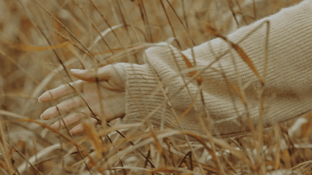 Hand gently touching tall grass