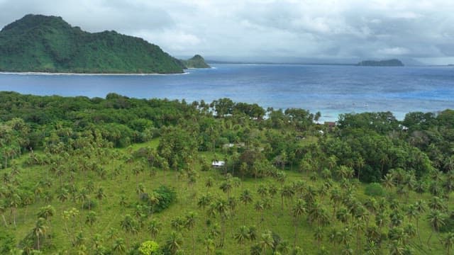 Greenery of a tropical island surrounded by blue sea