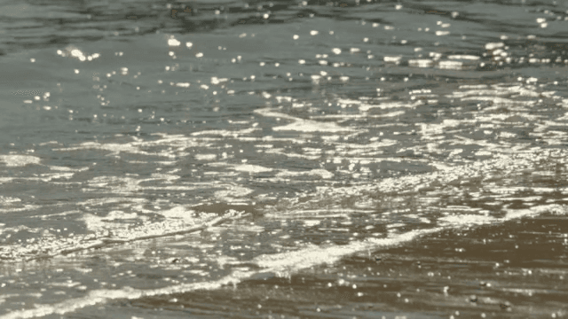 모래사장에 부드럽게 밀려오는 파도