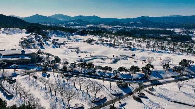 Snow Covered Landscape with Trees