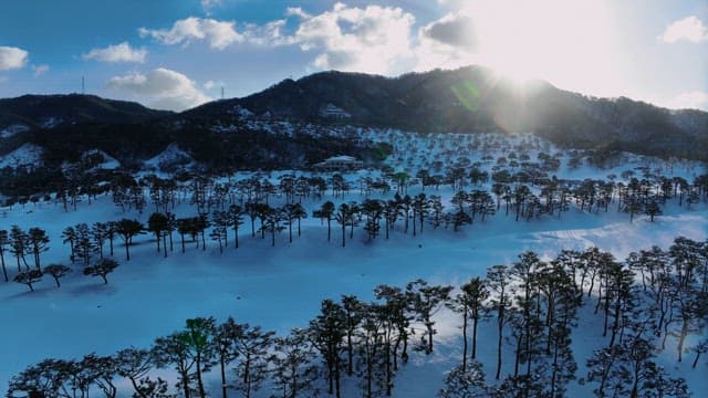 Snow-covered landscape with a forest and mountains