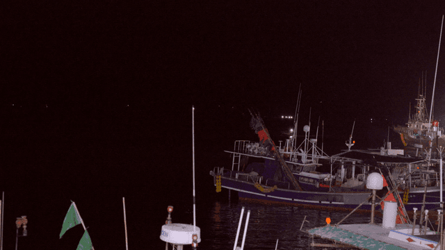Fishing boats docked at night