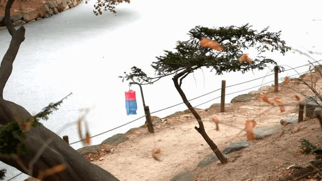 얼어붙은 연못 옆 전통 등불