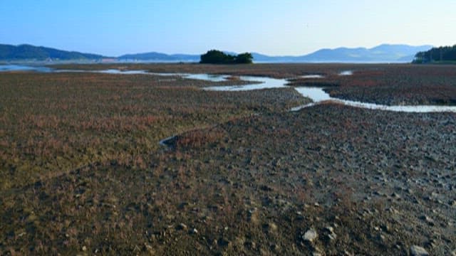 High tides of the quiet West Sea tidal flats