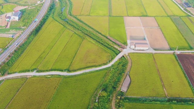 Expansive farmland with roads and fields