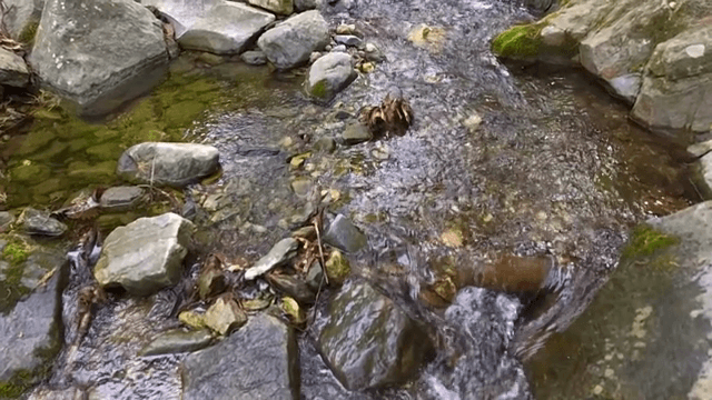 Flowing water over rocks in a stream