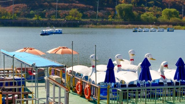 Duck boats docked on a scenic Baegunhosu Lake in autumn