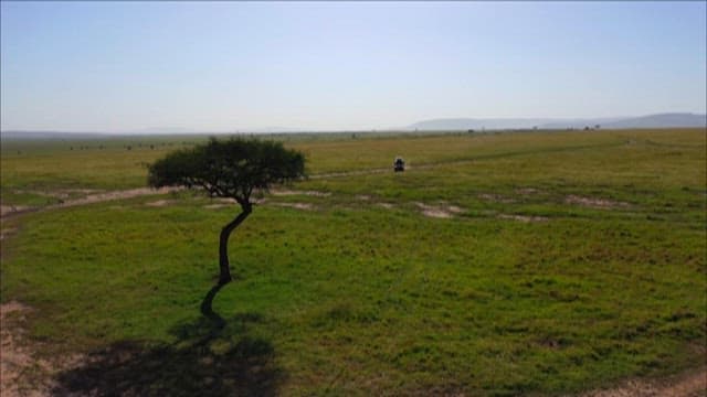 넓은 초원을 가로지르는 차량