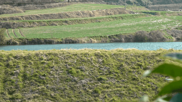 Quiet river flowing through green fields