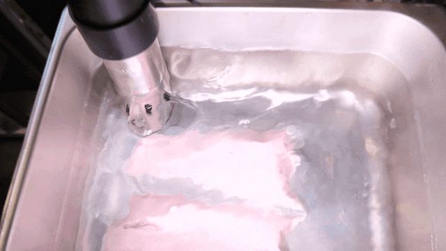 Sous vide cooking with precision device