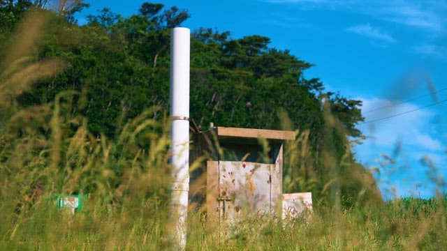 Rustic Structure Amidst Lush Greenery