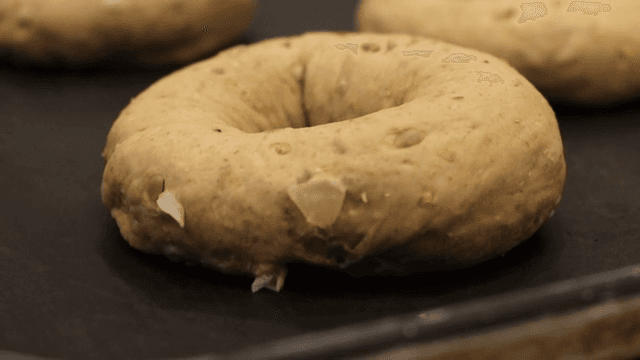 Bagel dough placed on a tray