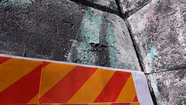 Frog between old concrete walls with warning signs