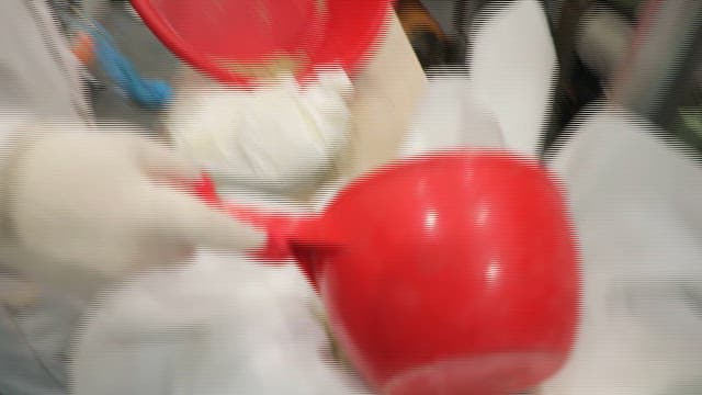 Process of Extracting Oil from Hemp Seeds