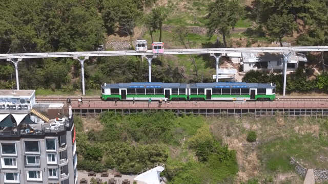 A scenic train ride through lush greenery