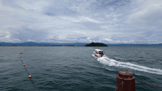 멀리 있는 섬을 향해 항해하는 보트