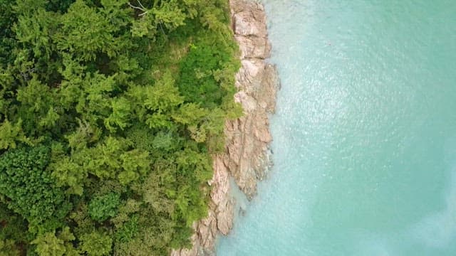 에메랄드빛 바다와 울창한 숲 사이 해안선