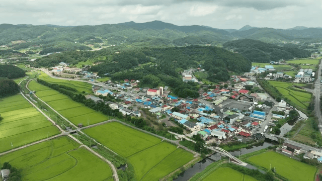 녹색 농경지에 둘러싸인 시골 마을