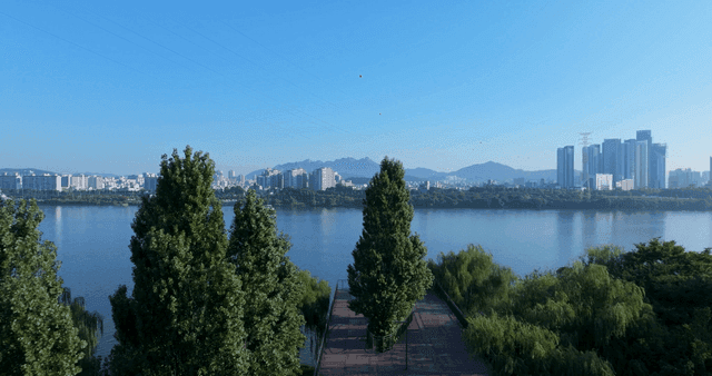 강과 나무가 있는 도시 스카이라인