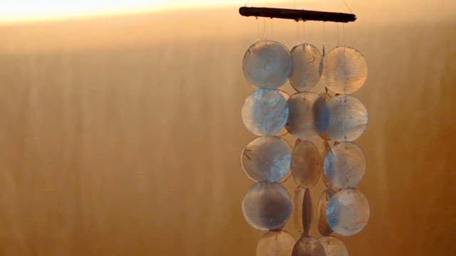 따뜻한 석양을 배경으로 한 조개바람의 종