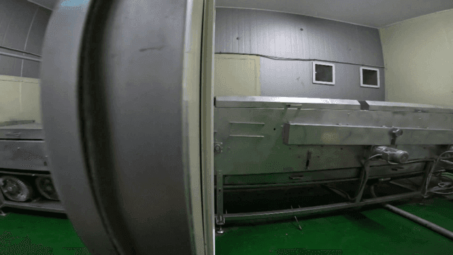 공장 안 산업용 계란 컨베이어 벨트 기계