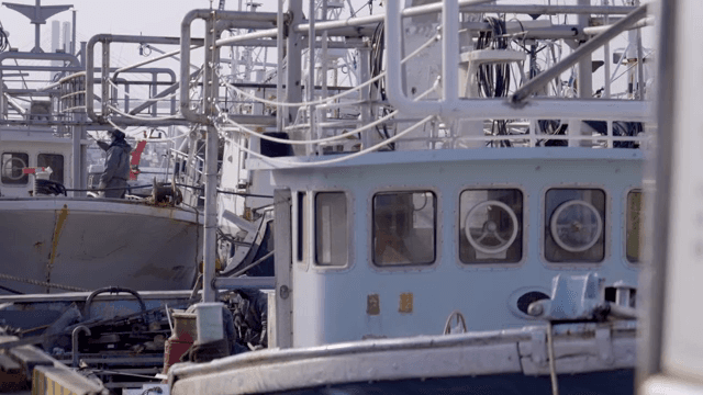 선원들이 작업 중인 정박한 어선