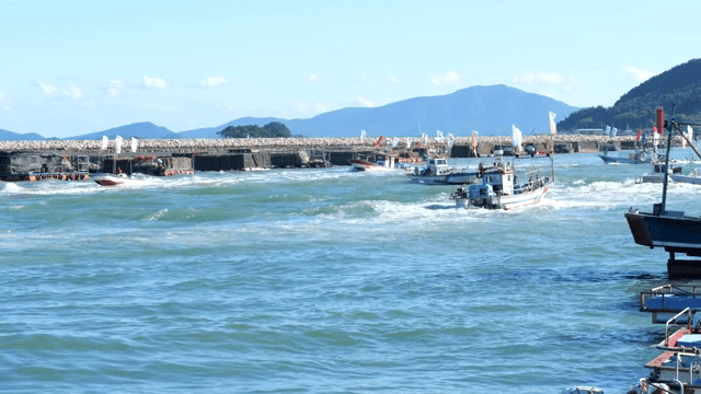 해안 양식장 근처의 어선들