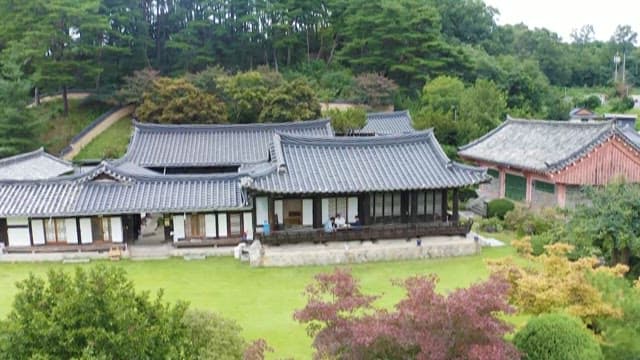 Traditional Korean Houses with Green Nature in a Serene Landscape