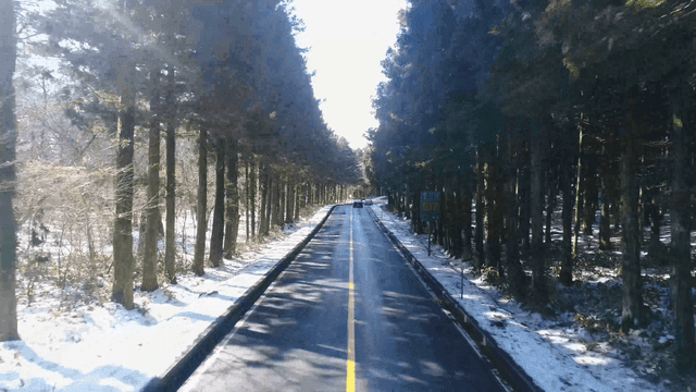 Cars driving on snow-covered forest road