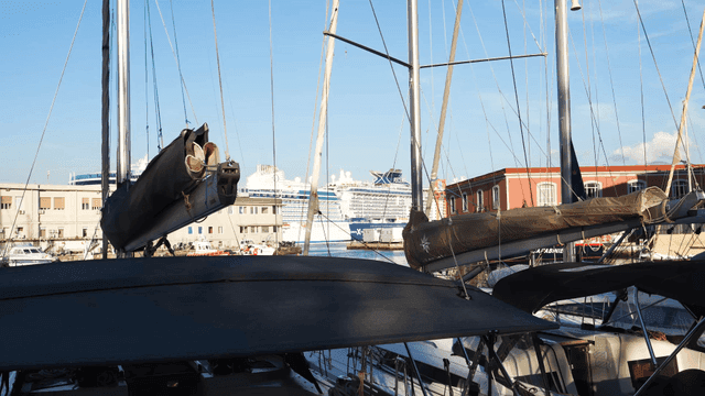 Yachts docked at a marina with a cruise ship