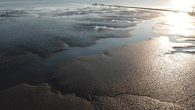 Expansive mudflats meeting the sea