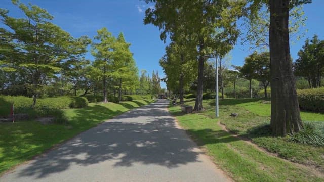 한적한 공원의 푸른 산책로