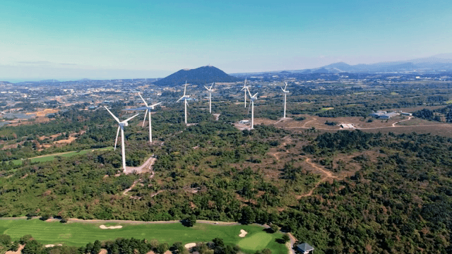 넓은 녹지에 있는 풍력 터빈