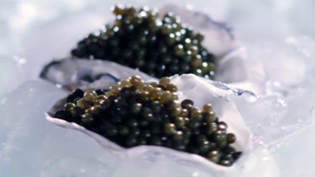 Gourmet Caviar on a Bed of Ice