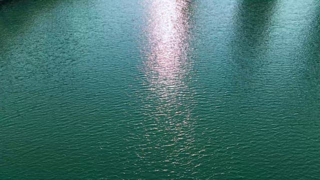 아파트 앞의 화창한 날씨를 즐길 수 있는 호수 공원